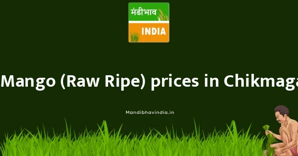 Mango (Raw-Ripe) price